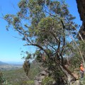 Freezer – Blue Mountains&nbsp;Australien