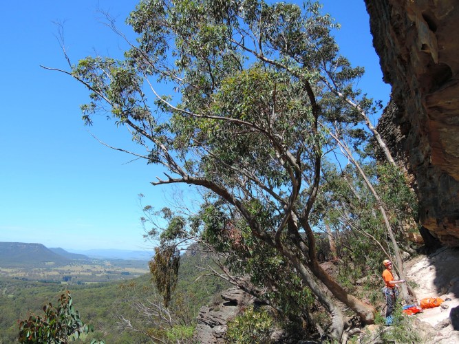 Freezer - Blue Mountains Australien / Foto © Nadia Sbilordo