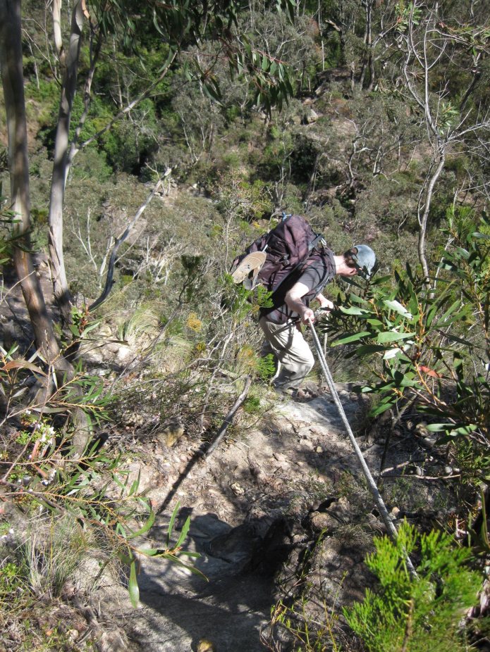 Abstieg zum Bowens Creek - Blue Mountains Australien / Foto © Nadia Sbilordo