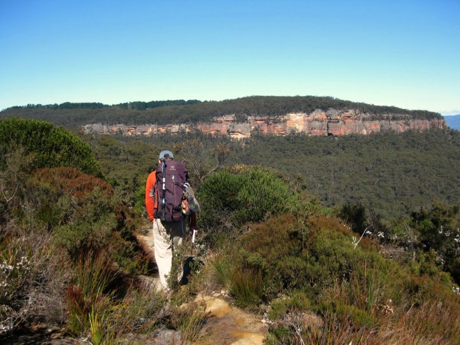 Zustieg zum Shipley Upper - Blue Mountains Australien / Foto © Nadia Sbilordo