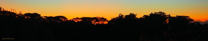 Afrikanisches Morgenrot