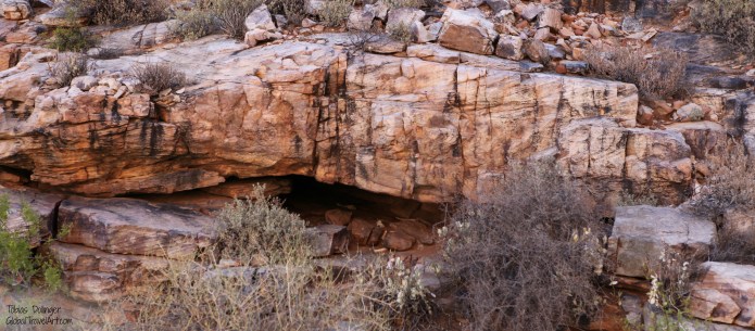 Leopardenschlafplatz