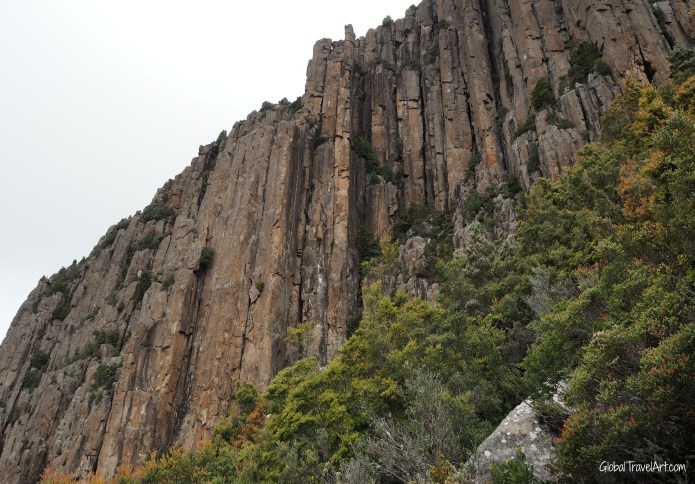 Organ Pipes Wand.jpg